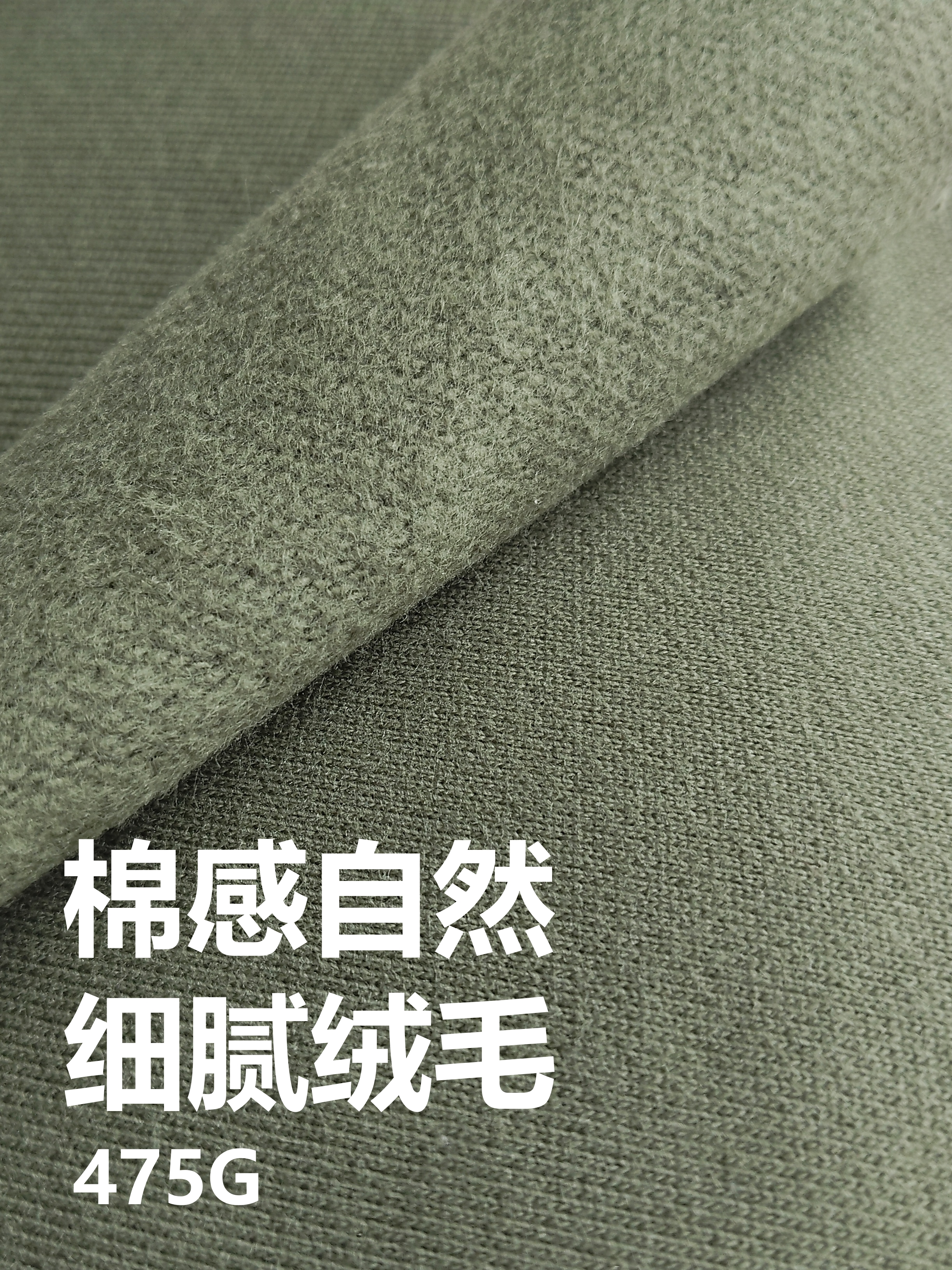 创世纪潮流绒 磨毛/抓毛类